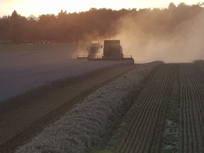 Landwirtschaft 2019 (Foto: Archiv Marbach)