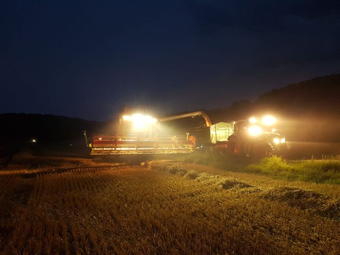 Landwirtschaft 2019 (Foto: Archiv Marbach)
