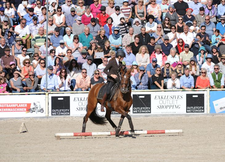 Marbacher Hengstparaden 2019