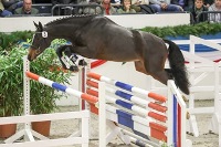 005_-_Freelancer - Christian Beeck3.jpg