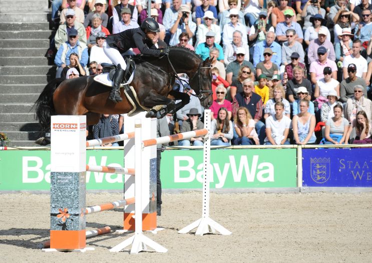 Marbacher Hengstparade 2019