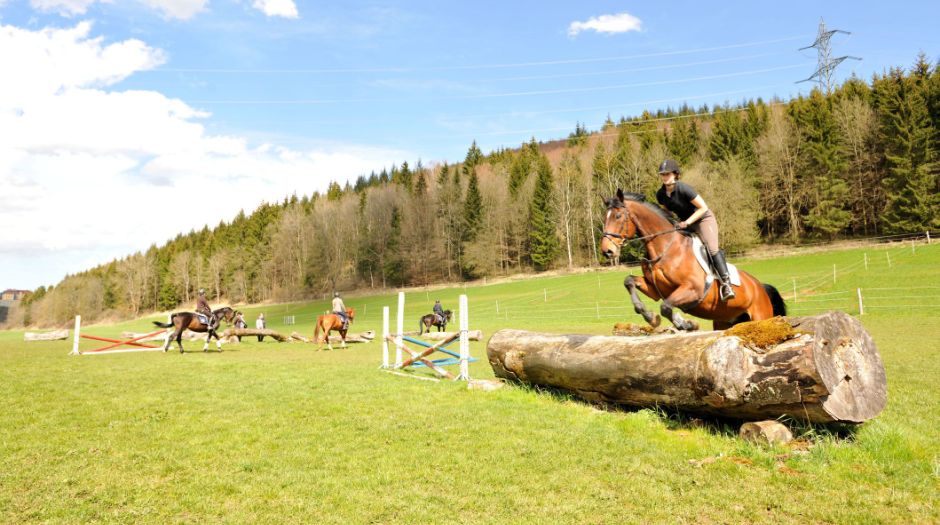Landesreitschule Marbach Außenplatz