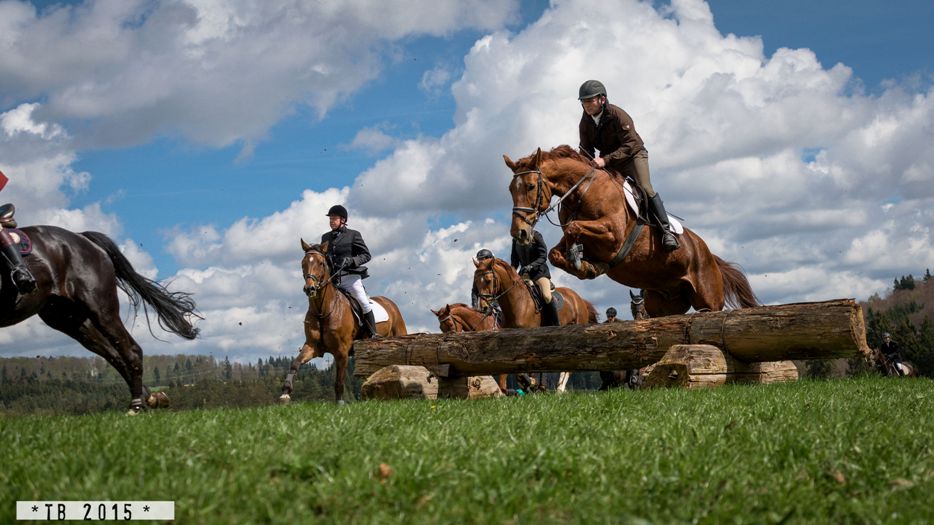 Landesreitschule Marbach (Foto: Thore Brockhoff)