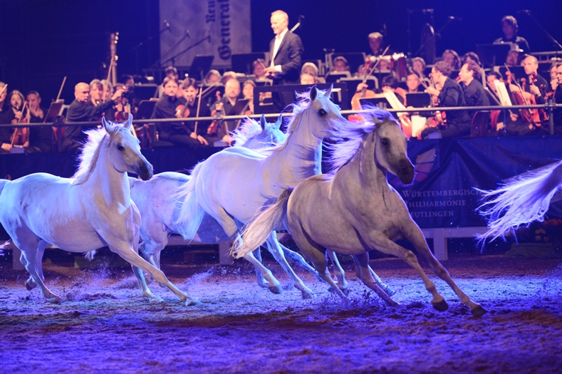 Marbach Classics 2012 (Foto: Maximilian Schreiner)