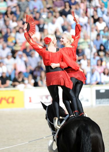 Marbacher Hengstparaden 2019