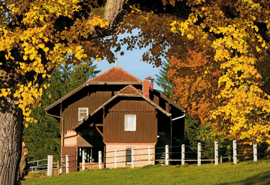 Alternativtext zum Bild