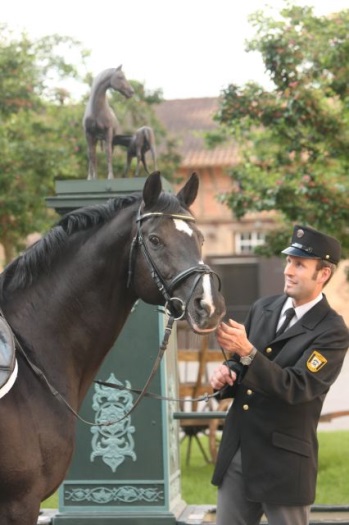 Rolf Eberhardt mit dem ehemaligen Marbacher Landbeschäler Cabernet