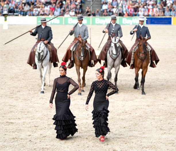 Marbacher Hengstparaden 2019