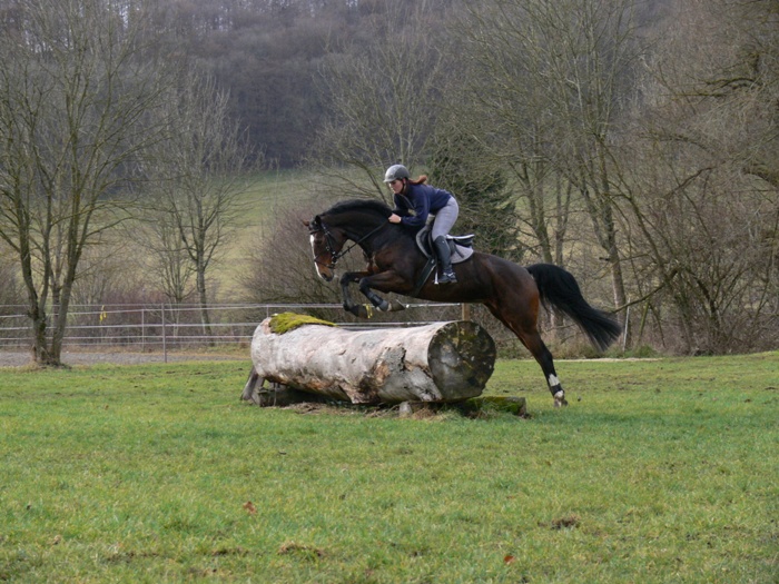 Landesreitschule Marbach (Foto: Archiv Marbach)