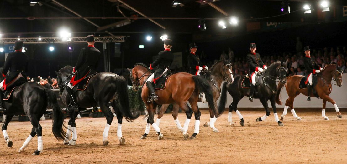 Marbach Classics 2019 (Foto: Warnack)