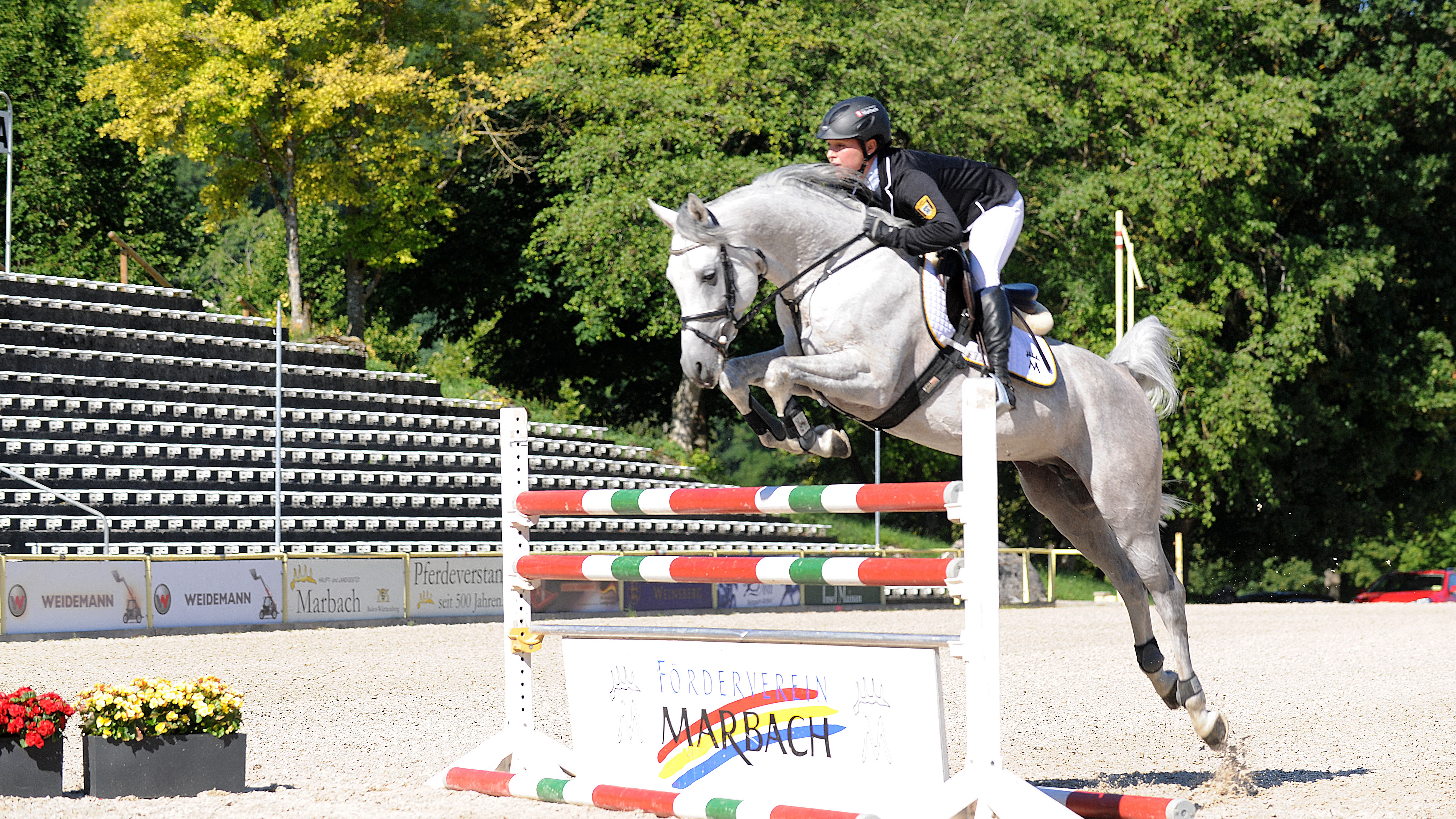 Ann-Kathrin Rupp mit Araberhengst Naoufil über dem Sprung in der Arena