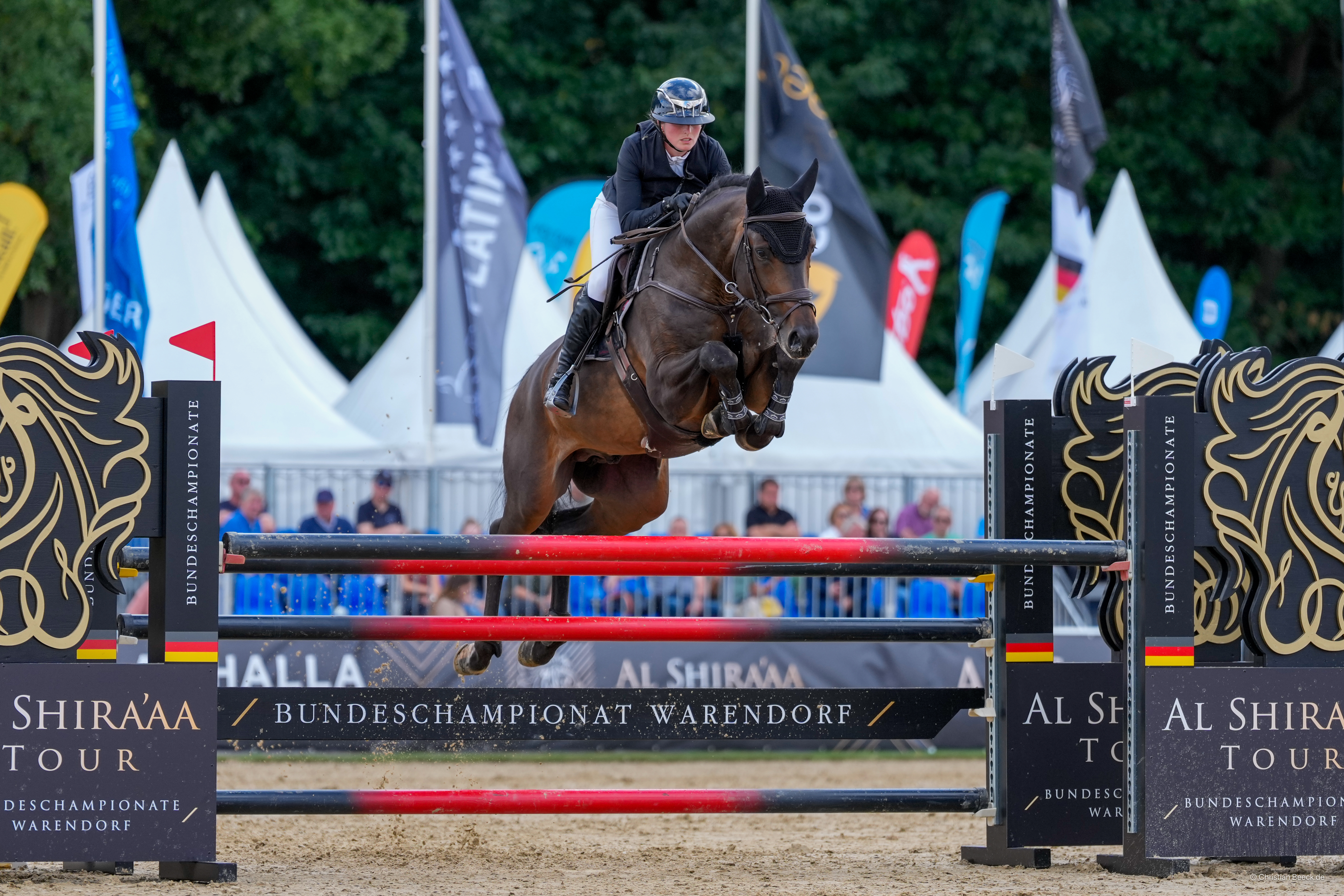 Alternativtext zum Bild