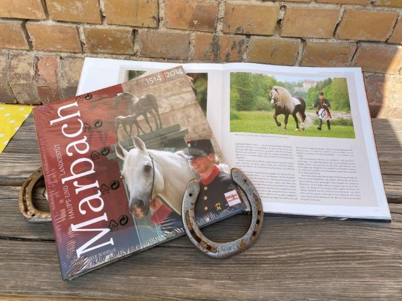 Boiselle Buch Marbach 1514-2014