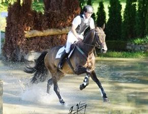 Pferd mit Reiter galoppieren durchs Wasser