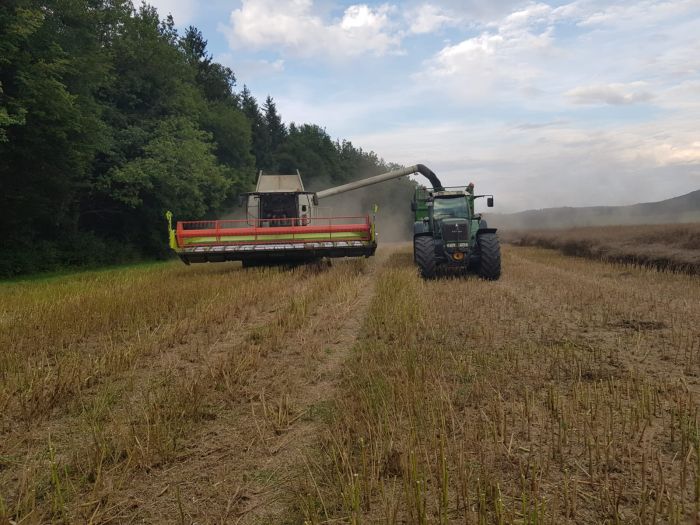 Landwirtschaft 2019 (Foto: Archiv Marbach)