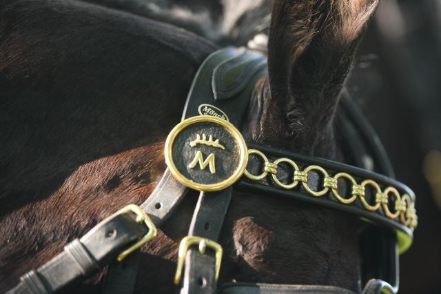 Landesfahrschule Marbach (Foto: Archiv Boiselle)