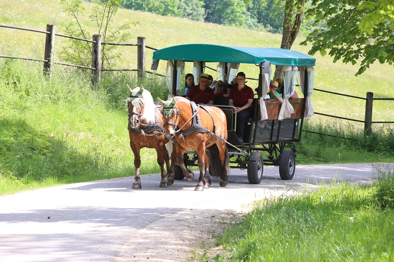 Fohlentaufe 2014: Planwagenfahrt