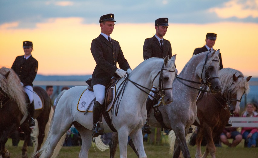 Pferdenacht auf der Kauber Platte