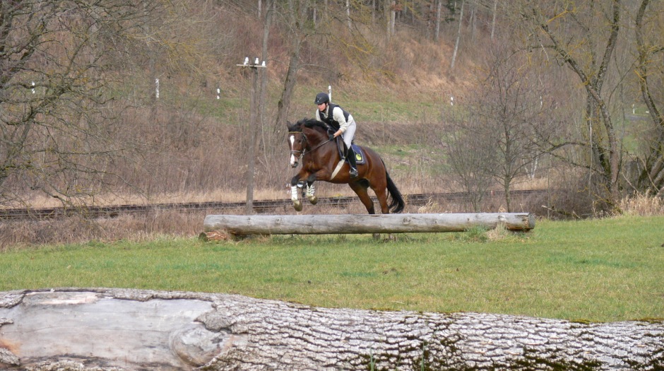 Landesreitschule Marbach (Foto: Archiv Marbach)