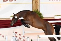 CIELITO MIO_MAX0747 Muench DSP HK  56 He v Cielito Lindo Lordanos 1 17 PhMSchreiner.jpg