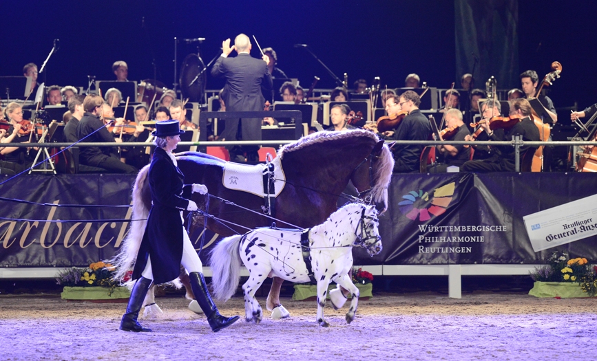 Marbach Classics 2012 (Foto: Maximilian Schreiner)