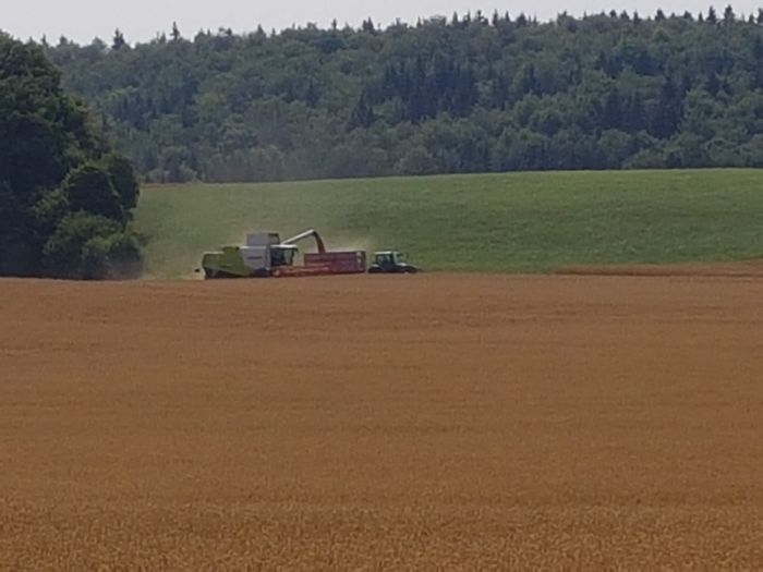 Landwirtschaft 2019 (Foto: Archiv Marbach)