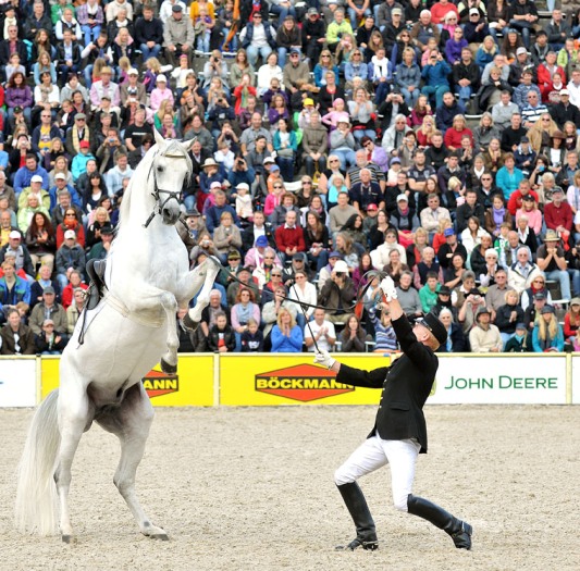 HP 2012 (Foto: Stephan Kube)