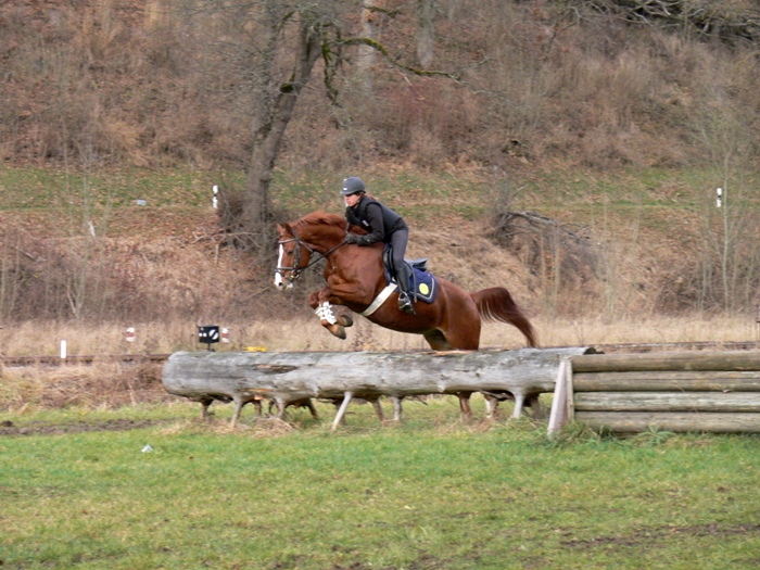 Landesreitschule Marbach (Foto: Archiv Marbach)