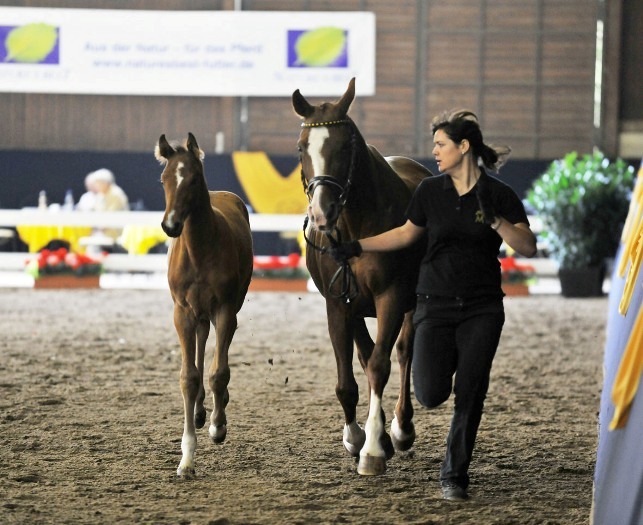Bairactar Memorial Schau 2010 (Foto: Stephan Kube)