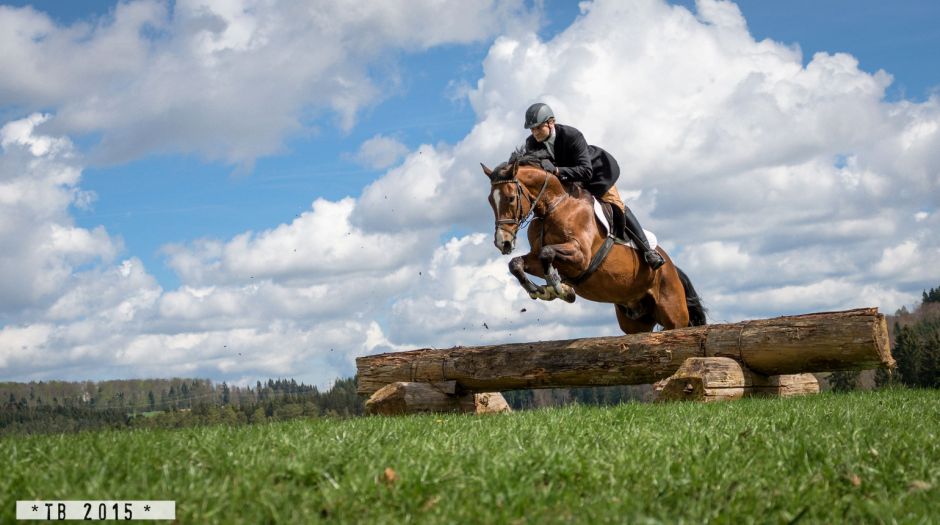 Landesreitschule Marbach (Foto: Thore Brockhoff)