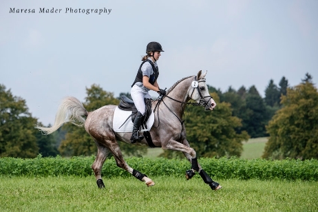 Araber galoppiert geritten &uuml;ber die Wiese