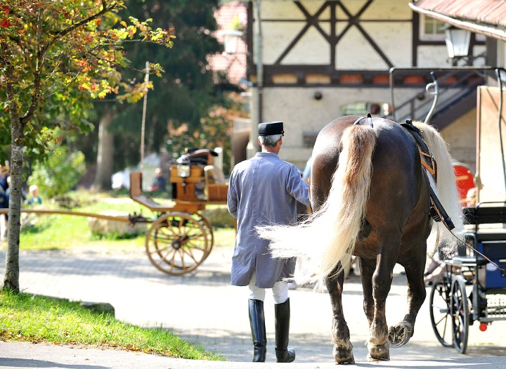 Landesfahrschule Marbach (Foto: Stephan Kube)