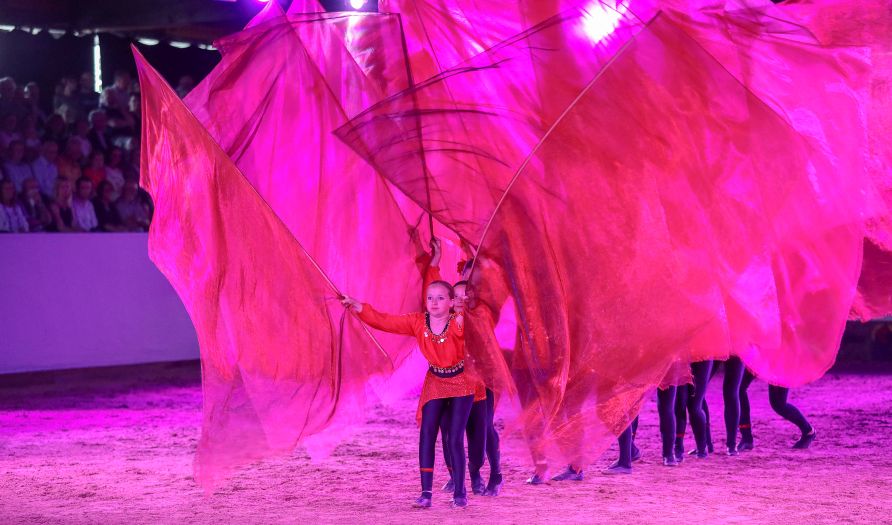 Marbach Classics 2019 (Foto: Warnack)