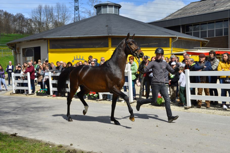 Alternativtext zum Bild