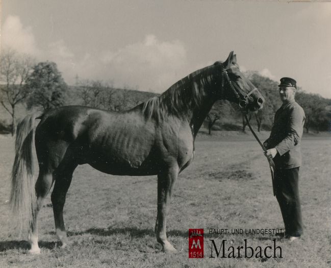 Julmond im Herbst 1964 (Foto: Guttmann)