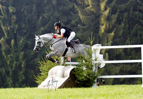 Araber springt geritten &uuml;ber ein Vielseitigkeitshindernis