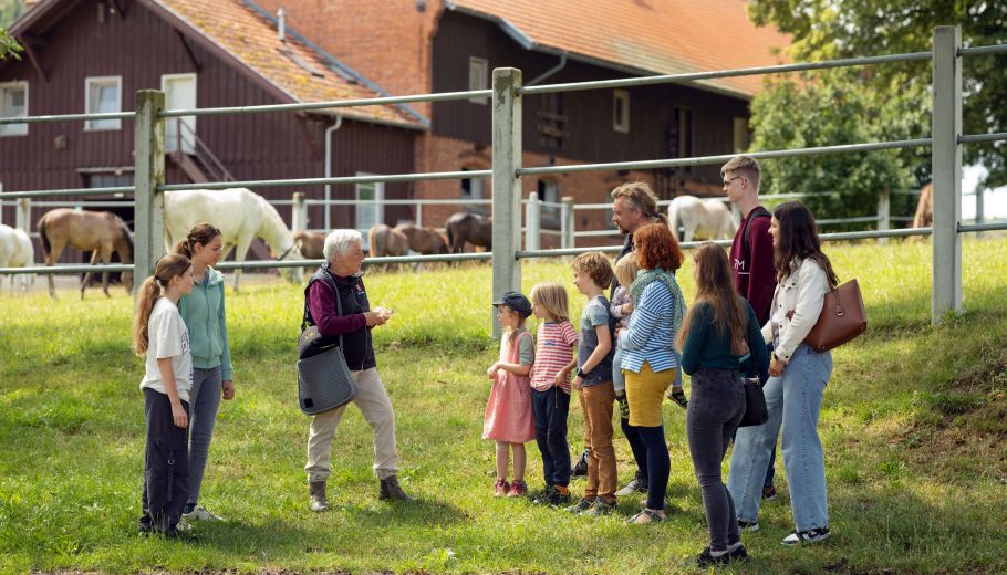 Alternativtext zum Bild