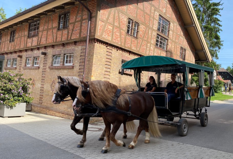 Alternativtext zum Bild