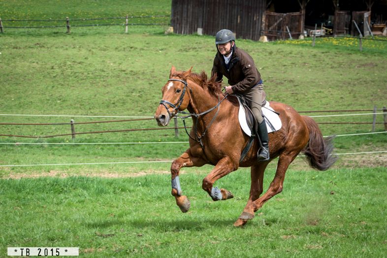 Landesreitschule Marbach (Foto: Thore Brockhoff)