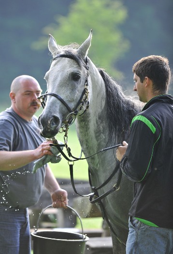Asil Club Marbach Distanz 2010 (Foto: Stephan Kube)