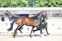 Una Stella_NPF-Weilheim-4668.jpg