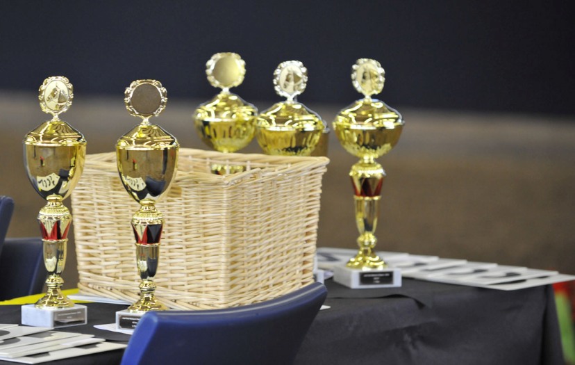 Bairactar Memorial Schau 2010 (Foto: Stephan Kube)