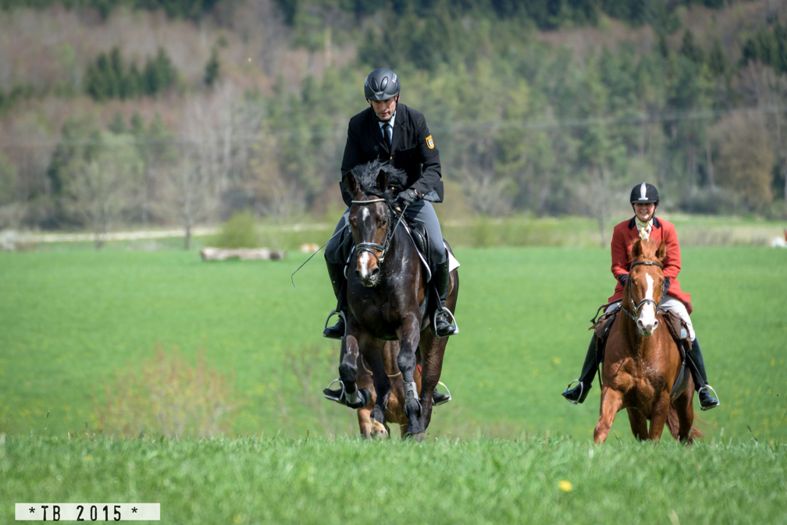 Landesreitschule Marbach (Foto: Thore Brockhoff)