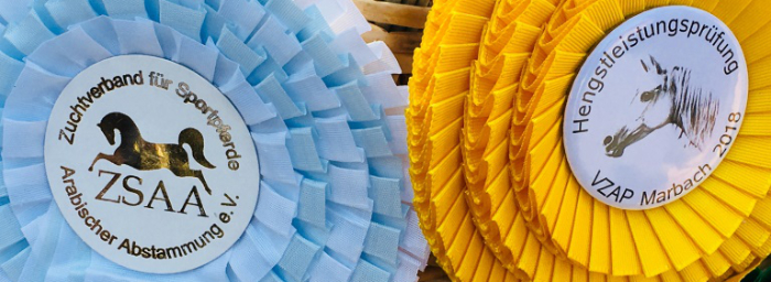 Schleifen in Gold und Blau der ZSAA und VZAP