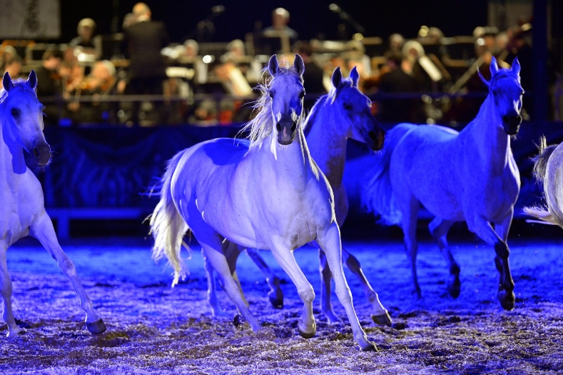Marbach Classics 2013 (Foto: Maximilian Schreiner)