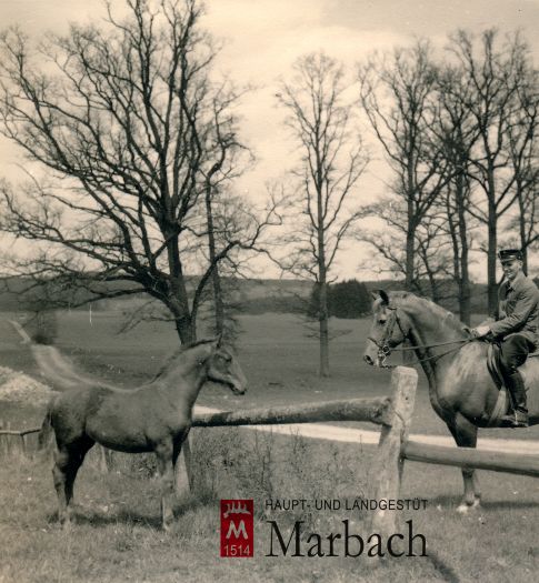 Julmond Anfang der 1960er (Foto: Guttmann)