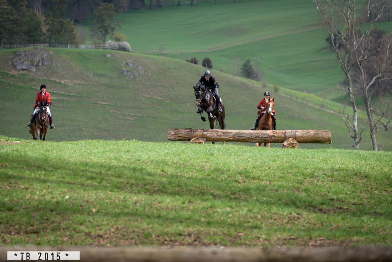 Landesreitschule Marbach (Foto: Thore Brockhoff)