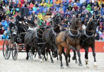 Sechssp&auml;nner mit WarmblutpferdenDSC_0248 Stephan Kube.jpg