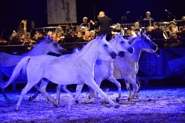 Marbach Classics 2013 (Foto: Maximilian Schreiner)
