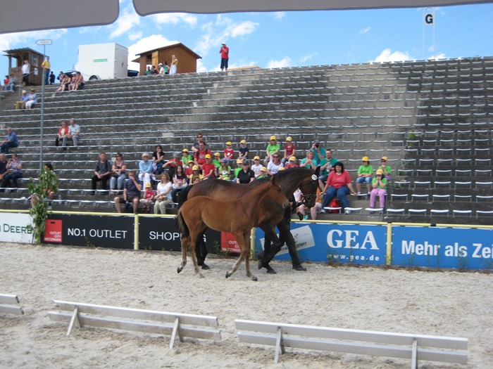 Aktionstag Kinderclub